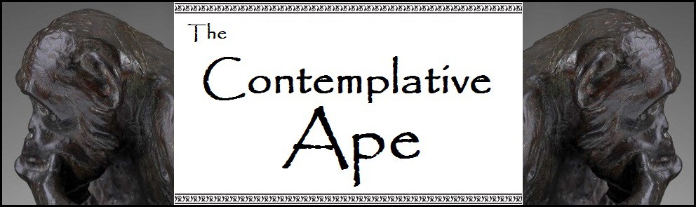 thecontemplativeape