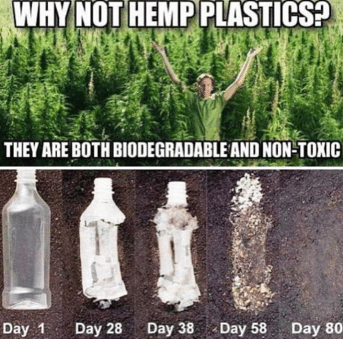 why-not-hempplastics-they-are-both-biodegradable-and-non-toxic-day-25952789